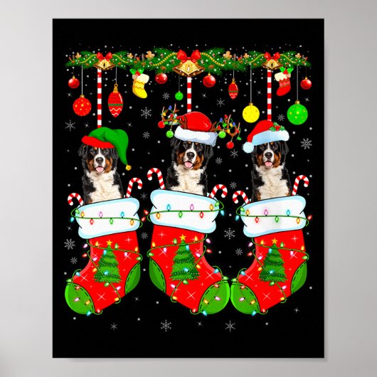Womens Saint Bernard Dog In Christmas Socks Funny  Poster (Voorkant)