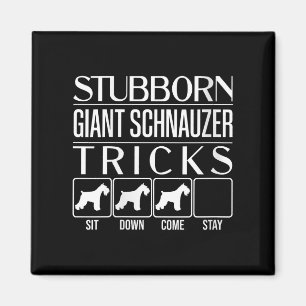 Womens Stubborn Giant Schnauzer Tricks, Funny Magneet