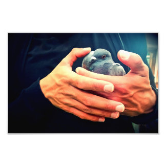 Wond Bird Foto Afdruk