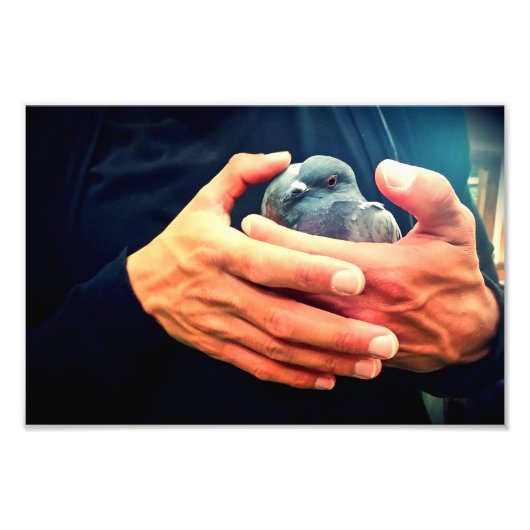 Wond Bird Foto Afdruk (Voorkant)