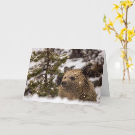 "Wonder"-feestkaart Kaart (Gele Bloem)