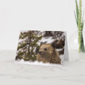 "Wonder"-feestkaart Kaart (Voorkant)