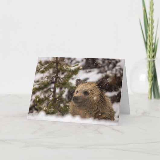 "Wonder"-feestkaart Kaart (Voorkant)