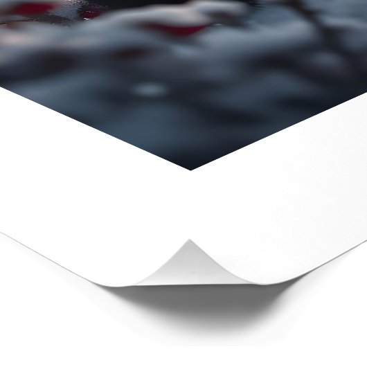 Wonder Perfect Poster (Hoek)