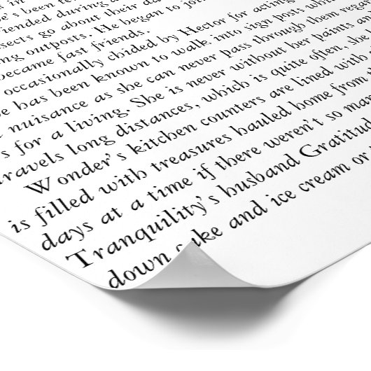 Wonder Poster (Hoek)