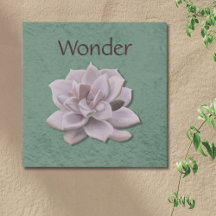 Wonder Sage Green Hand-getrokken succulent Botanic