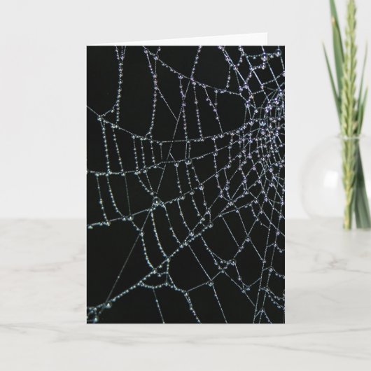 Wonder van het Web Kaart (Voorkant)