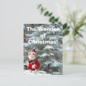 Wonder van Kerstmis! Feestdagenkaart (Staand voorkant)