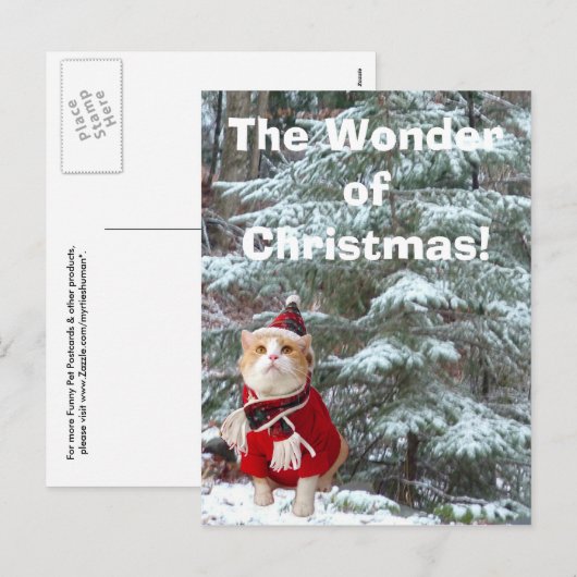 Wonder van Kerstmis! Feestdagenkaart (Voorkant / Achterkant)