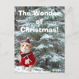 Wonder van Kerstmis! Feestdagenkaart