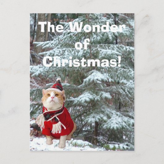 Wonder van Kerstmis! Feestdagenkaart (Voorkant)