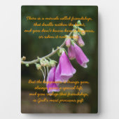 Wonder van vriendschap fotoplaat (voorkant)