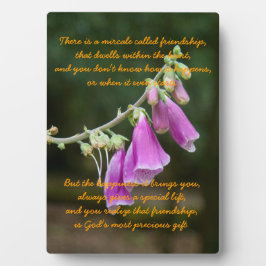 Wonder van vriendschap fotoplaat