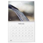 Wonder Water 2025 Kalender (Feb 2026)