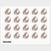 Wonder Woman Brown Ronde Sticker (Vel)