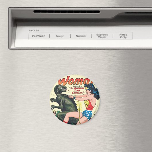 Wonder Woman Runaway Time Express Magneet (Insitu (Vaatwasser))