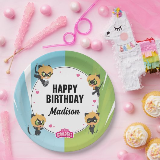 Wonderbaarlijke Cat Noir verjaardag Papieren Bordje (Feest)