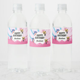 Wonderbaarlijke lieveheersbeestje & Cat Noir Chibi Waterfles Etiket