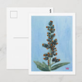 Wonderboom Briefkaart (Voorkant / Achterkant)