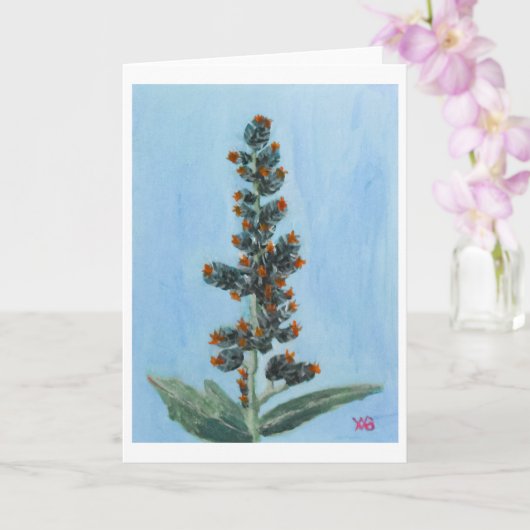 Wonderboom Kaart (Orchidee)