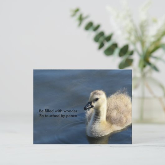 Wonderen en vrede briefkaart (Staand voorkant)