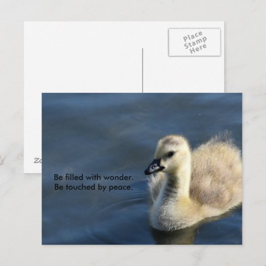 Wonderen en vrede briefkaart (Voorkant / Achterkant)