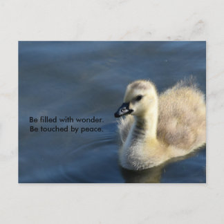 Wonderen en vrede briefkaart