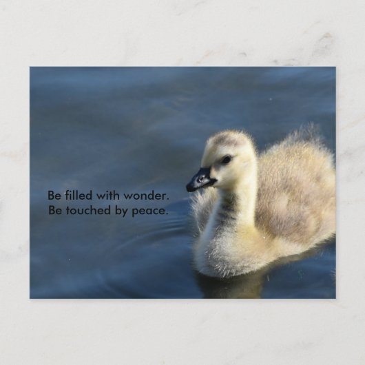 Wonderen en vrede briefkaart (Voorkant)