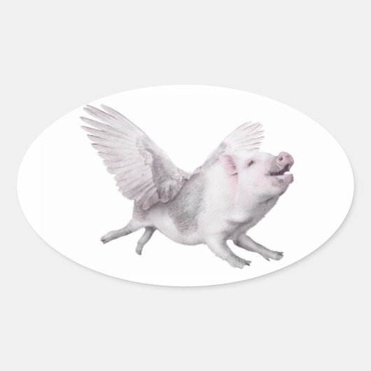Wonderen Mogelijkheid Vreugde Vliegende Varkens Wa Ovale Sticker (Voorkant)
