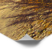 Wonderen van het wild: Lago Escondido Poster (Hoek)