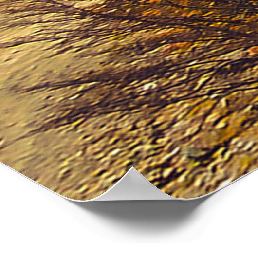 Wonderen van het wild: Lago Escondido Poster (Hoek)