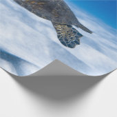 Wonderful Aquatic Turtle Cadeaupapier (Hoek)