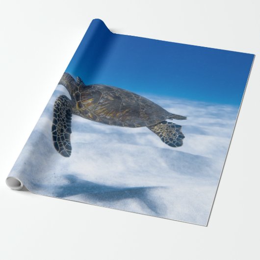 Wonderful Aquatic Turtle Cadeaupapier (Uitgerold)
