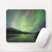 Wonderful Aurora Muismat (Met muis)
