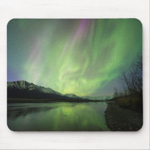 Wonderful Aurora Muismat