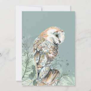Wonderful Barn Owl Bird Wildlife Natuur Art