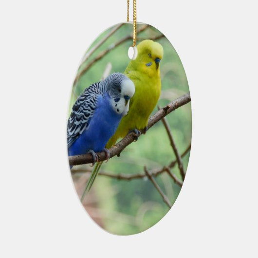 Wonderful Budgie Keramisch Ornament (Rechts)