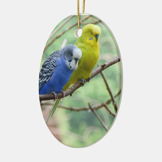 Wonderful Budgie Keramisch Ornament (Links)