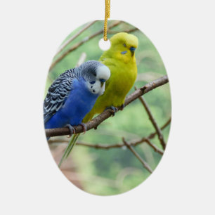 Wonderful Budgie Keramisch Ornament
