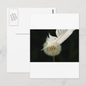 Wonderful Dandelion Briefkaart (Voorkant / Achterkant)