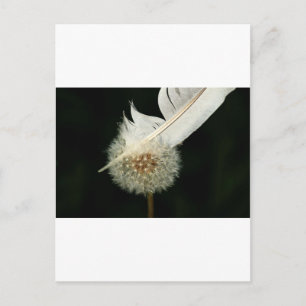 Wonderful Dandelion Briefkaart