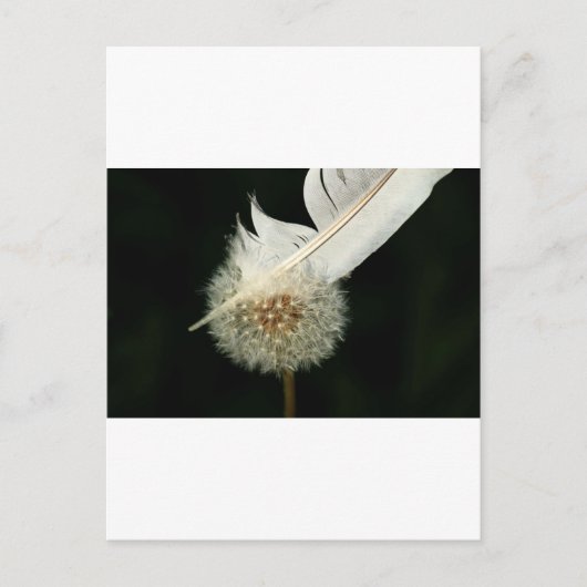 Wonderful Dandelion Briefkaart (Voorkant)