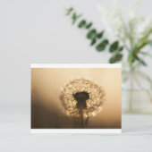 Wonderful Dandelion Briefkaart (Staand voorkant)
