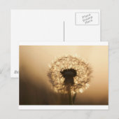 Wonderful Dandelion Briefkaart (Voorkant / Achterkant)