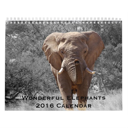 Wonderful Elephants 2016-agenda Kalender (Hoes)