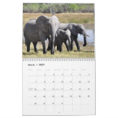 Wonderful Elephants 2016-agenda Kalender (Mar 2027)