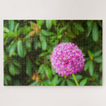 Wonderful fuchsia flower bij Keukenhof, Nederland