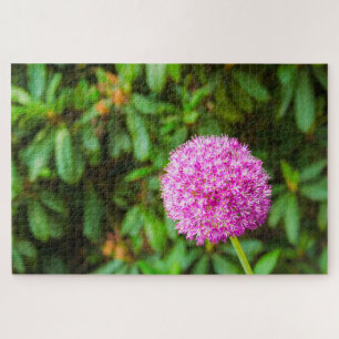 Wonderful fuchsia flower bij Keukenhof, Nederland Legpuzzel