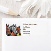 Wonderful Horses Stallion Photography Etiket (Insitu)