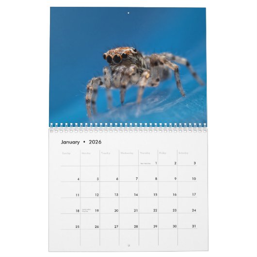 Wonderful Jumpers Kalender (Jan 2026)